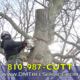 D&M Tree Service Commercial